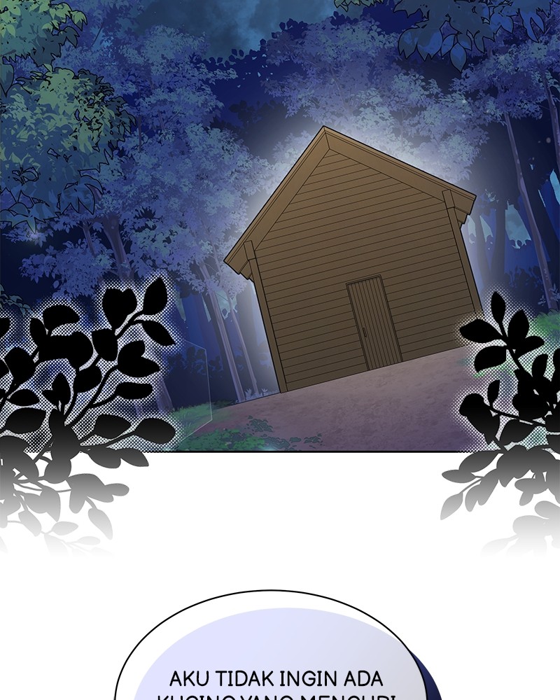 It’s a Cat, Adopted by a Wolf Family? Chapter 1 Image 3