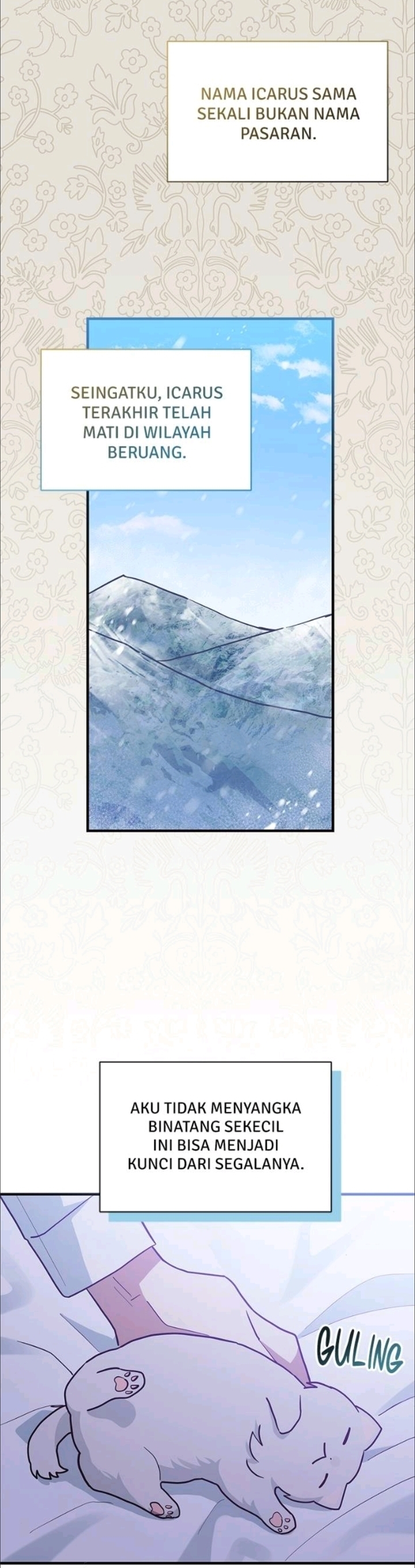 It’s a Cat, Adopted by a Wolf Family? Chapter 14 Image 13