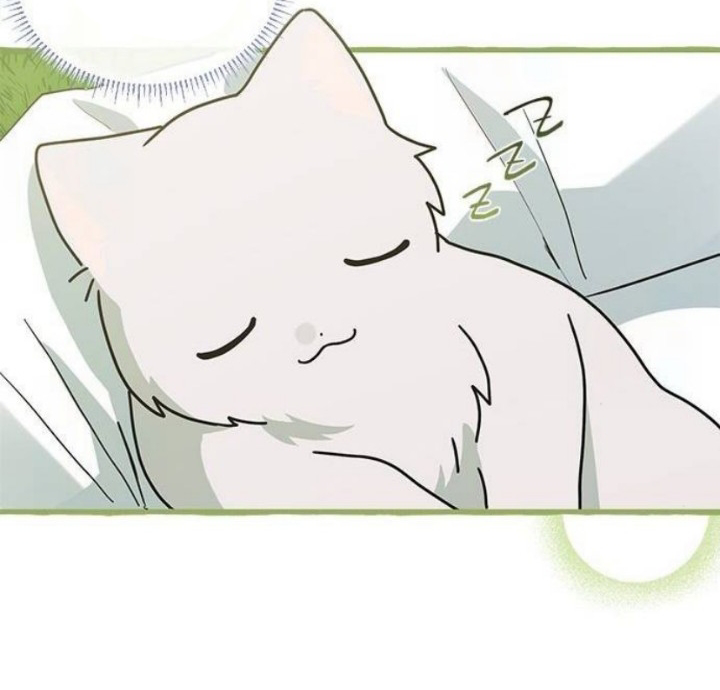 It’s a Cat, Adopted by a Wolf Family? Chapter 24 Image 104