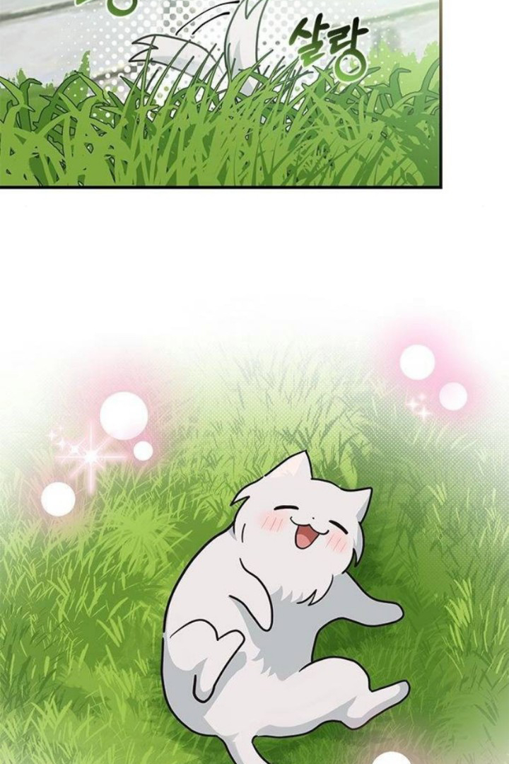 It’s a Cat, Adopted by a Wolf Family? Chapter 24 Image 51