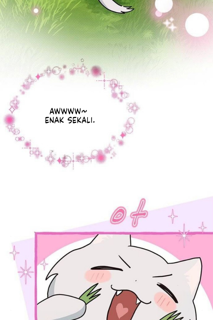 It’s a Cat, Adopted by a Wolf Family? Chapter 24 Image 52