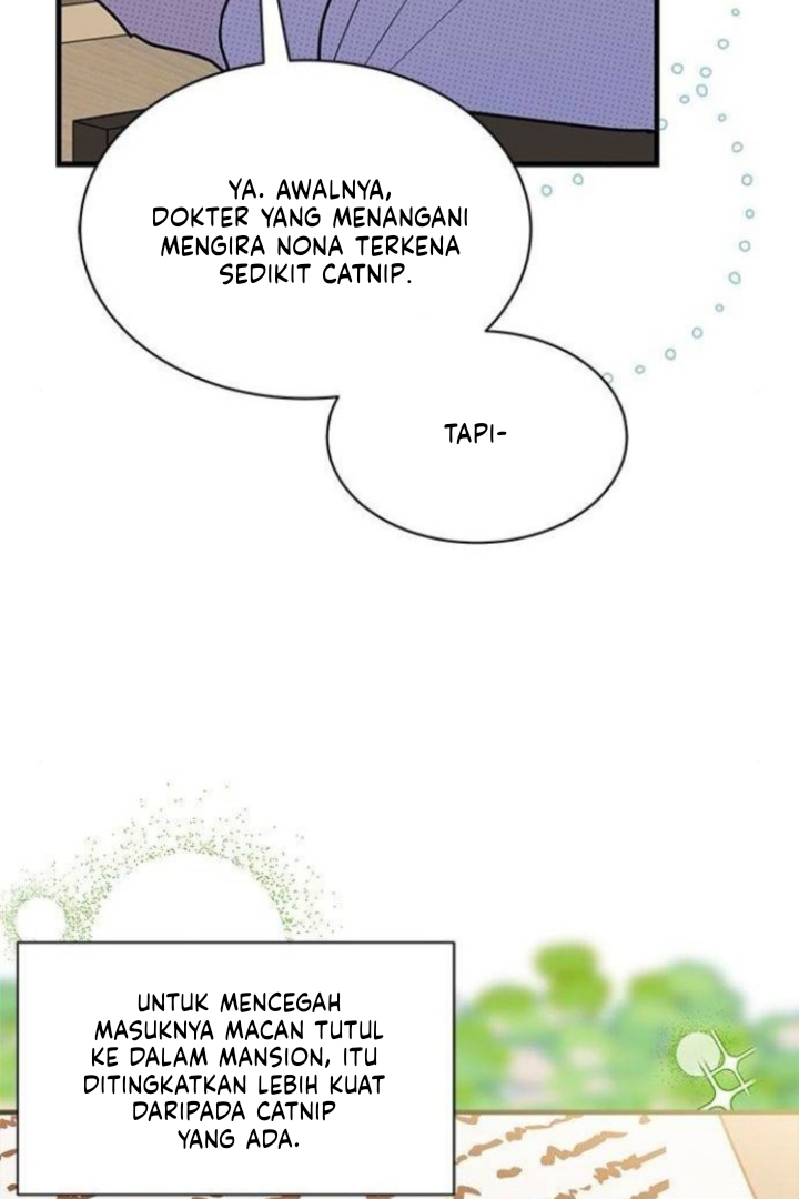 It’s a Cat, Adopted by a Wolf Family? Chapter 25 Image 11