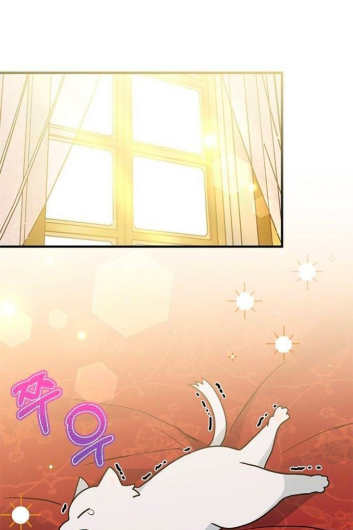 It’s a Cat, Adopted by a Wolf Family? Chapter 25 Image 56