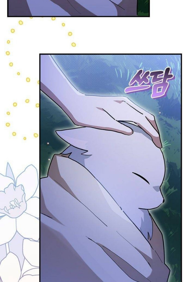 It’s a Cat, Adopted by a Wolf Family? Chapter 28 Image 9