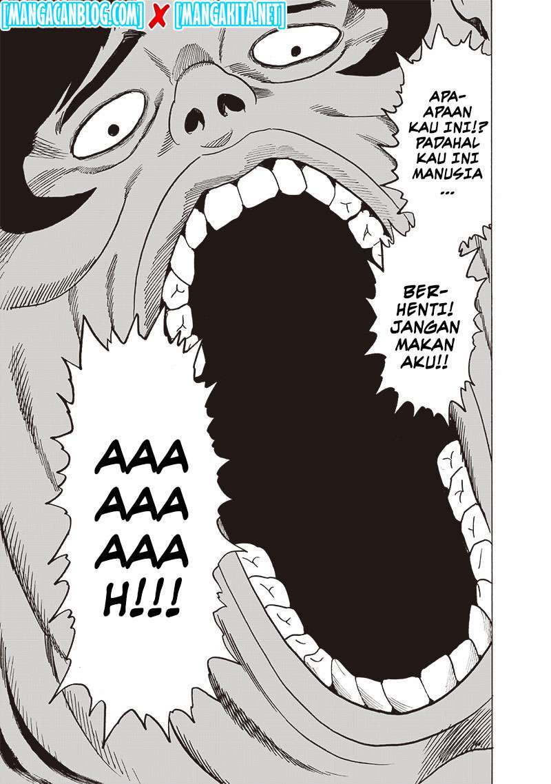 One Punch-Man Chapter 161 Image 3