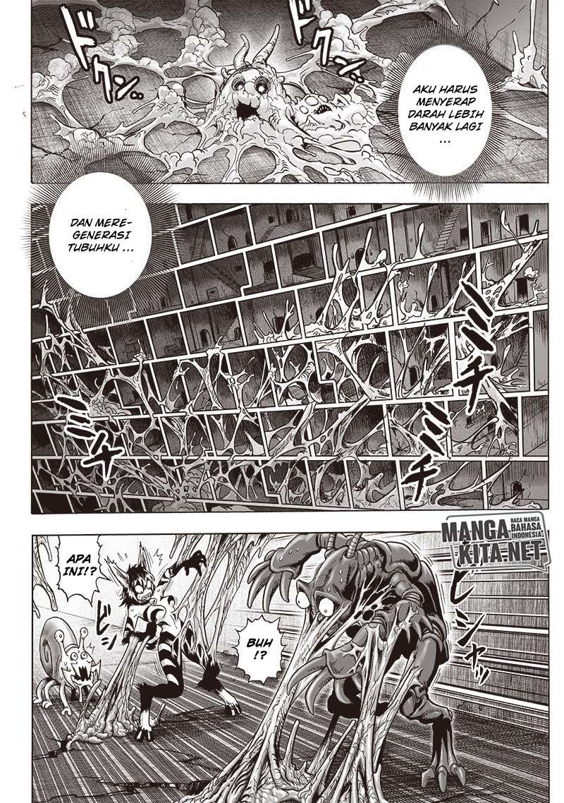 One Punch-Man Chapter 175 Image 19