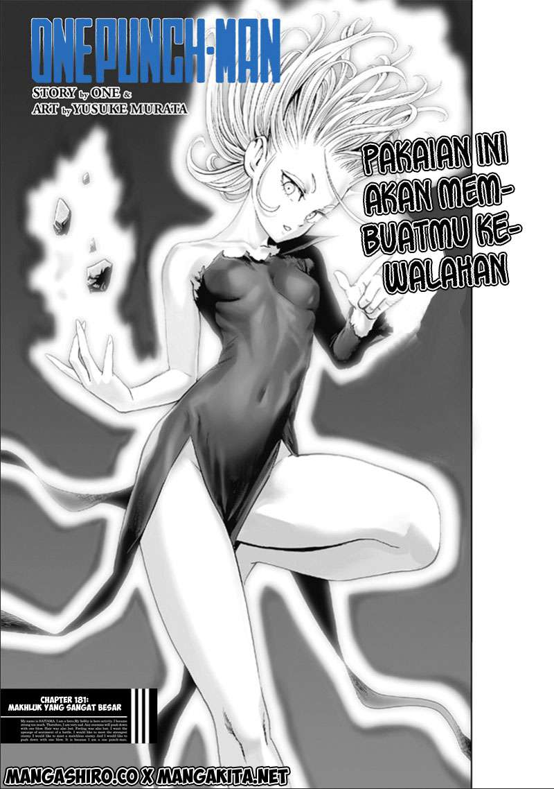 One Punch-Man Chapter 181 Image 1