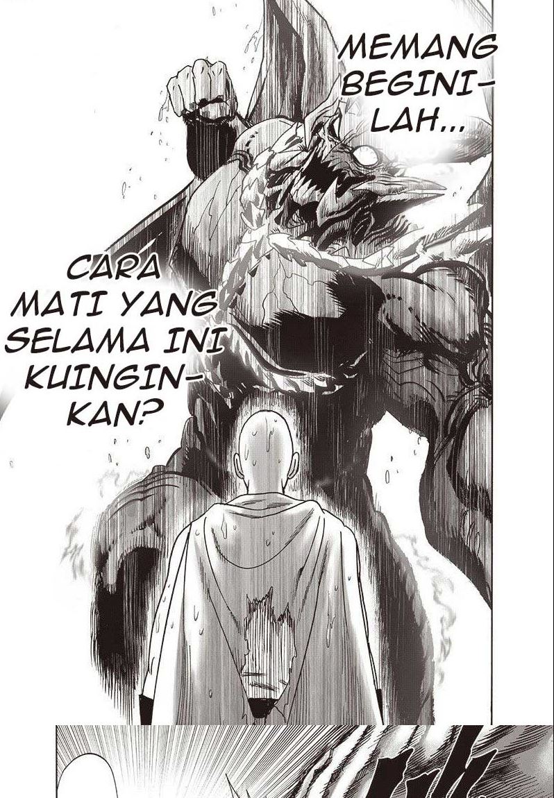 One Punch-Man Chapter 214.2 Image 18