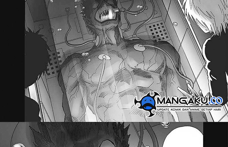 One Punch-Man Chapter 246 Image 18