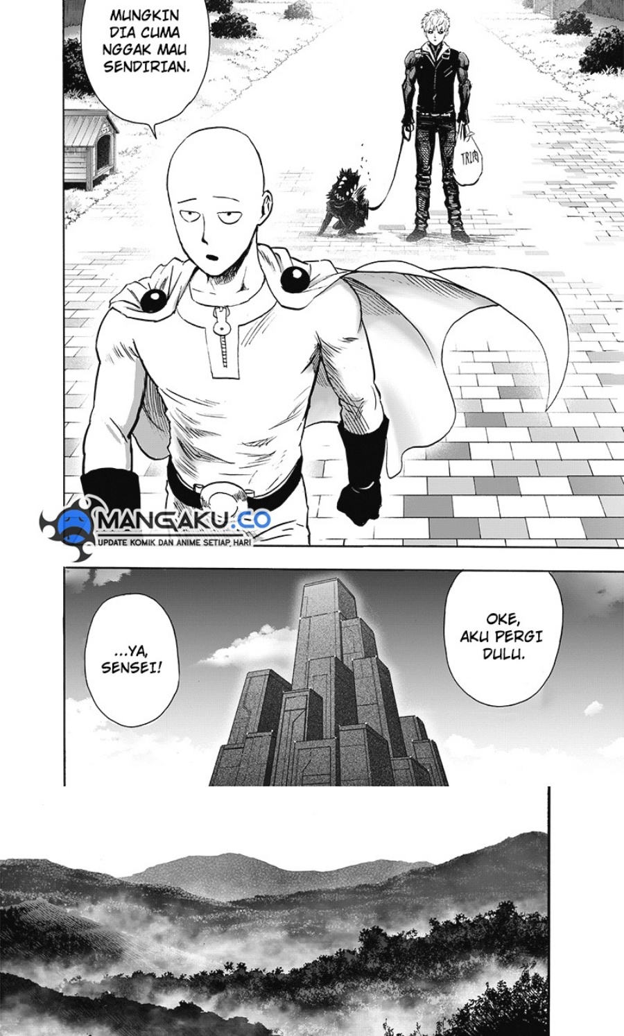 One Punch-Man Chapter 247.6 Image 10
