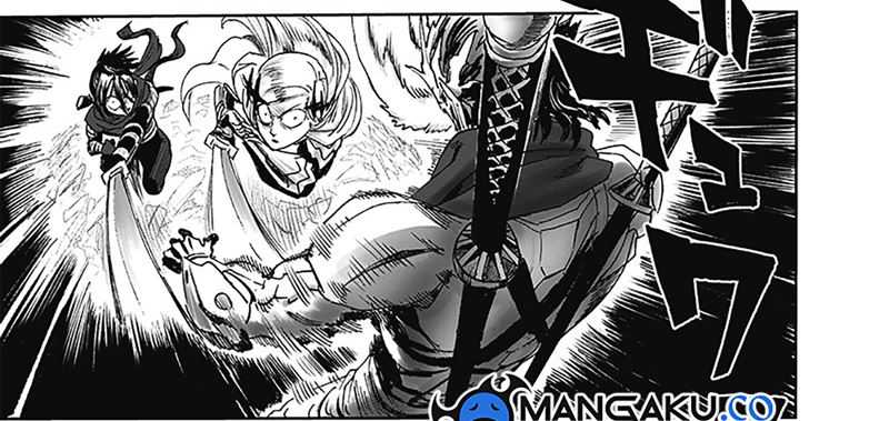 One Punch-Man Chapter 252.10 Image 27