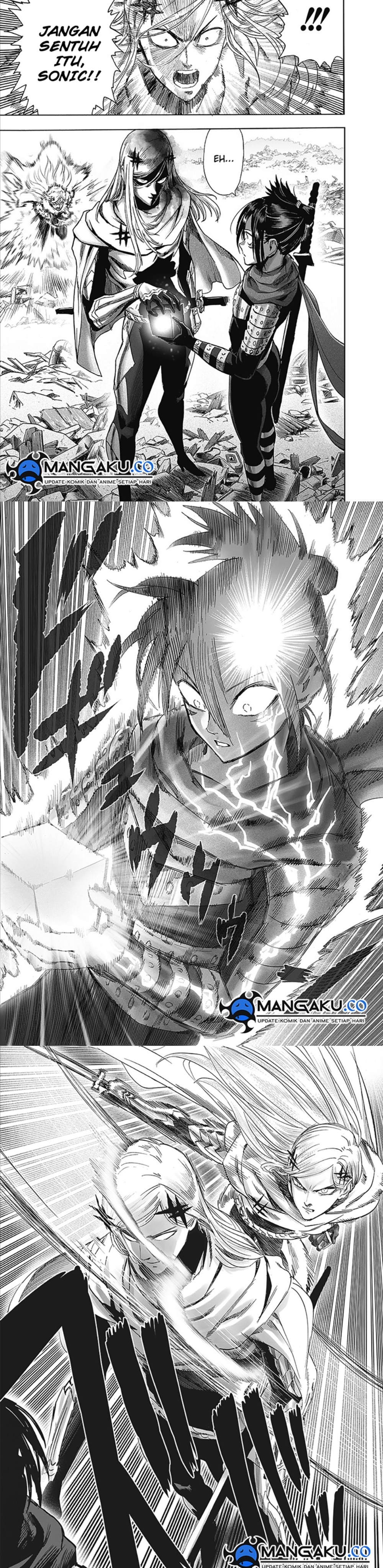 One Punch-Man Chapter 252.9 Image 3