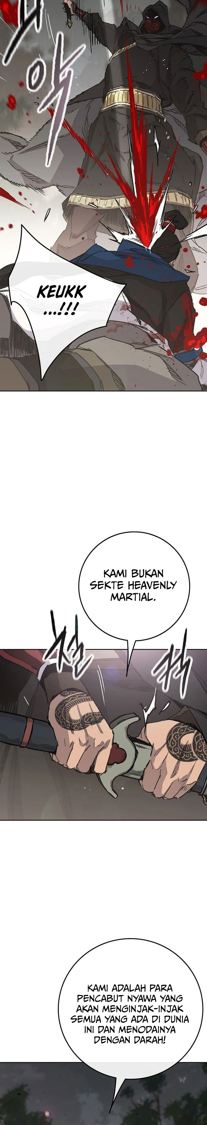 The Undefeatable Swordsman Chapter 251 Image 40