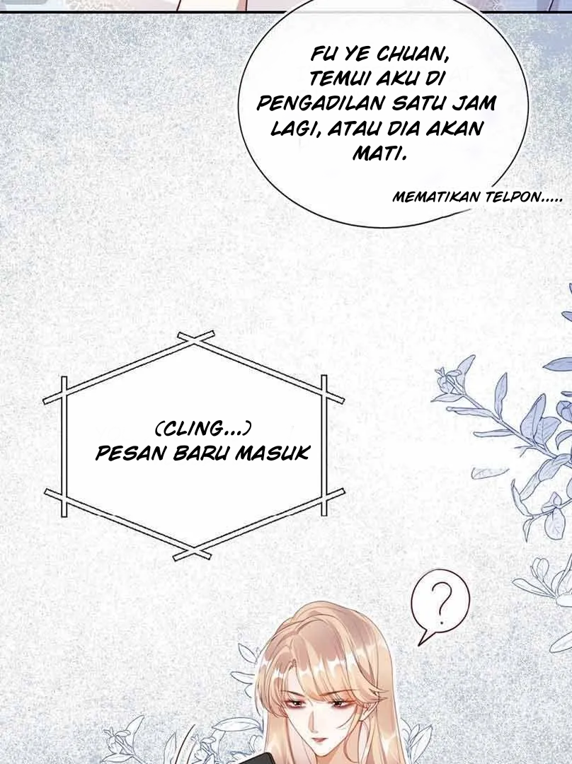 She Became A Billionaire After Divorce Chapter 1 Image 24