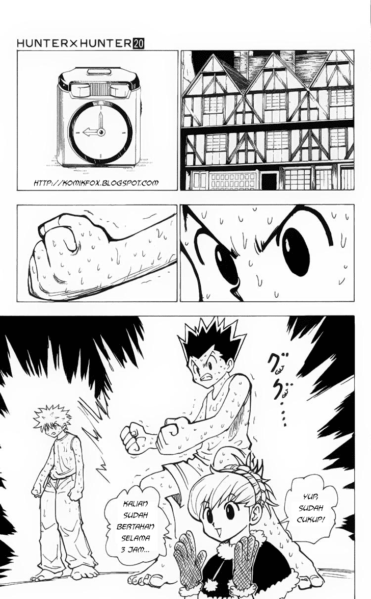 Hunter x Hunter Chapter 202 Image 10