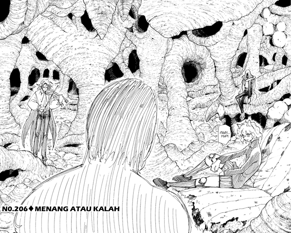 Hunter x Hunter Chapter 206 Image 3