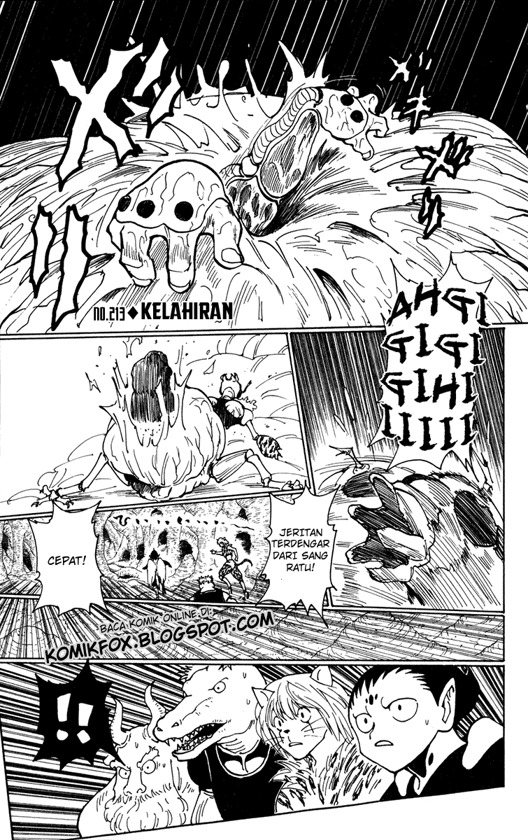 Hunter x Hunter Chapter 213 Image 0