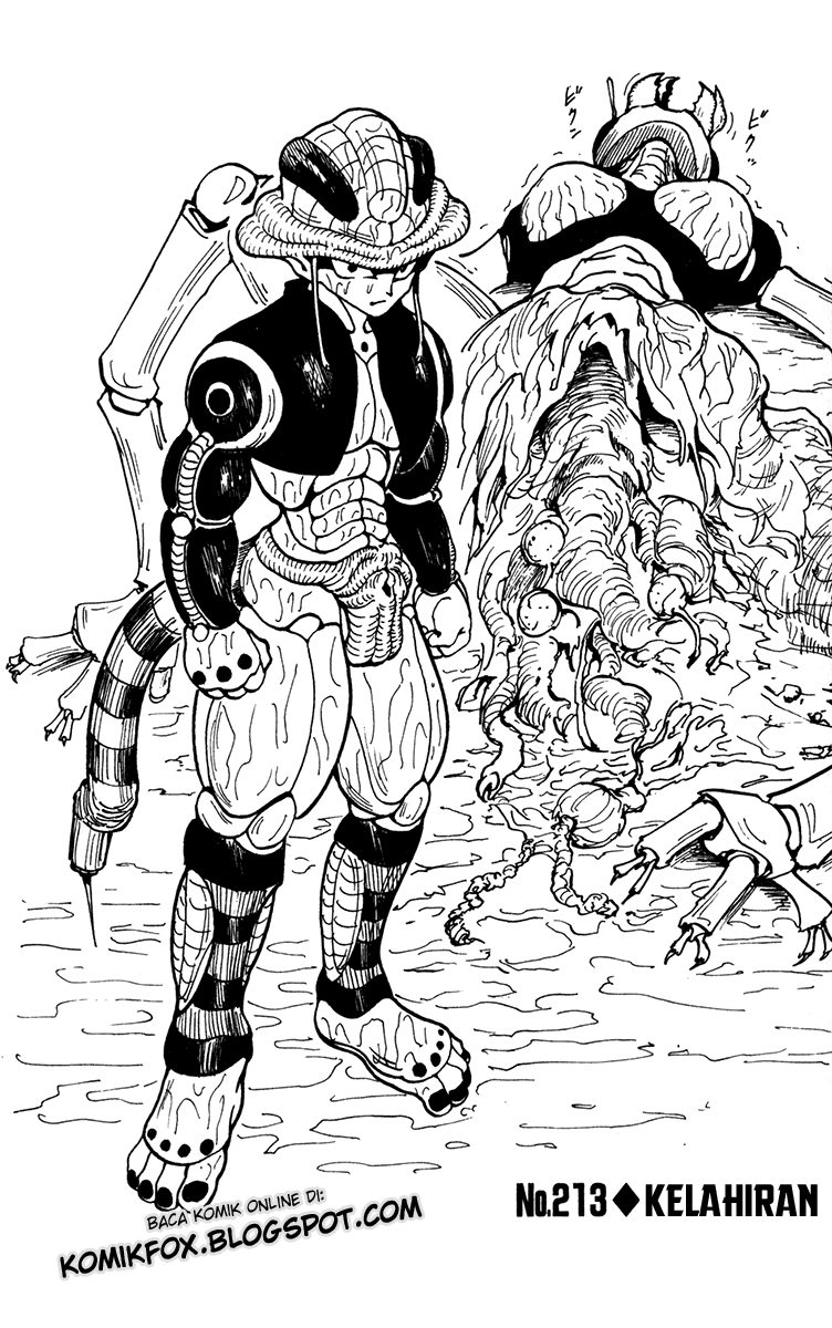 Hunter x Hunter Chapter 213 Image 1