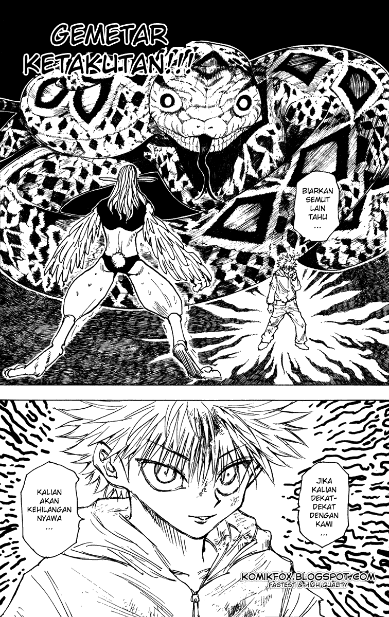 Hunter x Hunter Chapter 219 Image 11