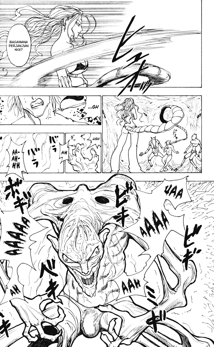 Hunter x Hunter Chapter 224 Image 11