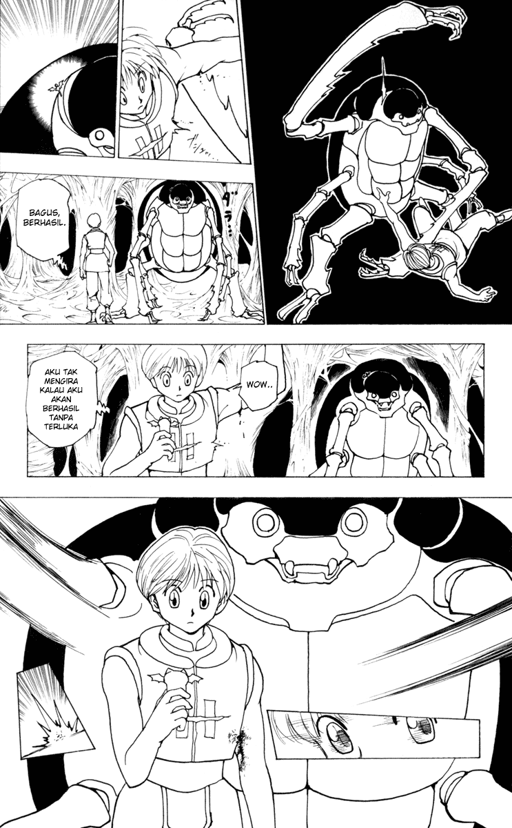 Hunter x Hunter Chapter 226 Image 8