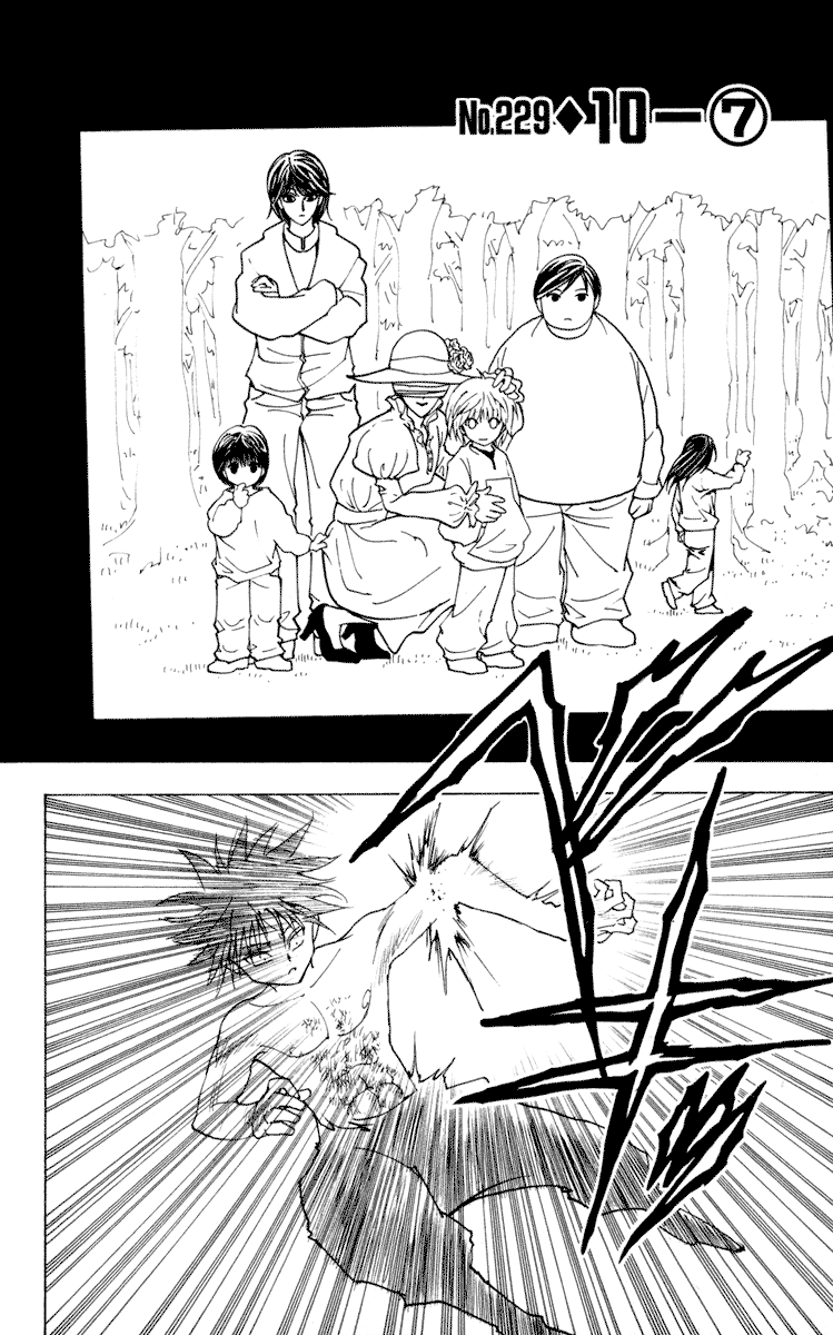 Hunter x Hunter Chapter 229 Image 1