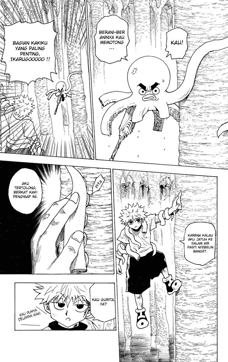 Hunter x Hunter Chapter 238 Image 2