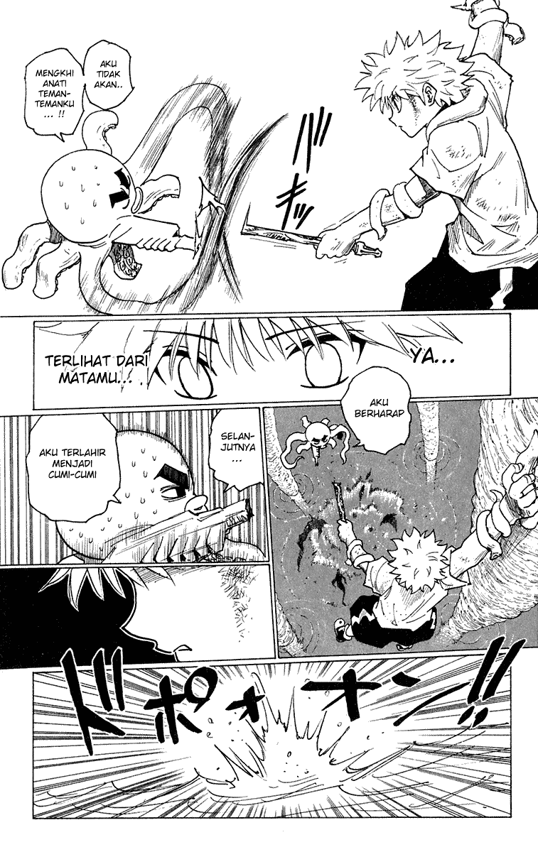 Hunter x Hunter Chapter 238 Image 8
