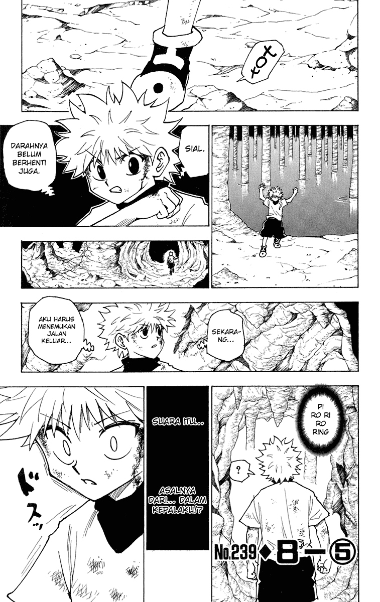 Hunter x Hunter Chapter 239 Image 0
