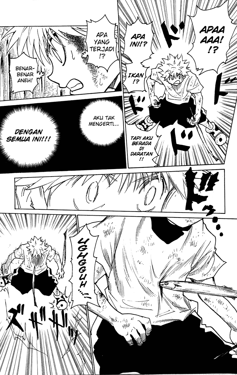 Hunter x Hunter Chapter 239 Image 1