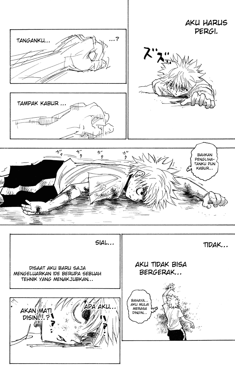 Hunter x Hunter Chapter 241 Image 3