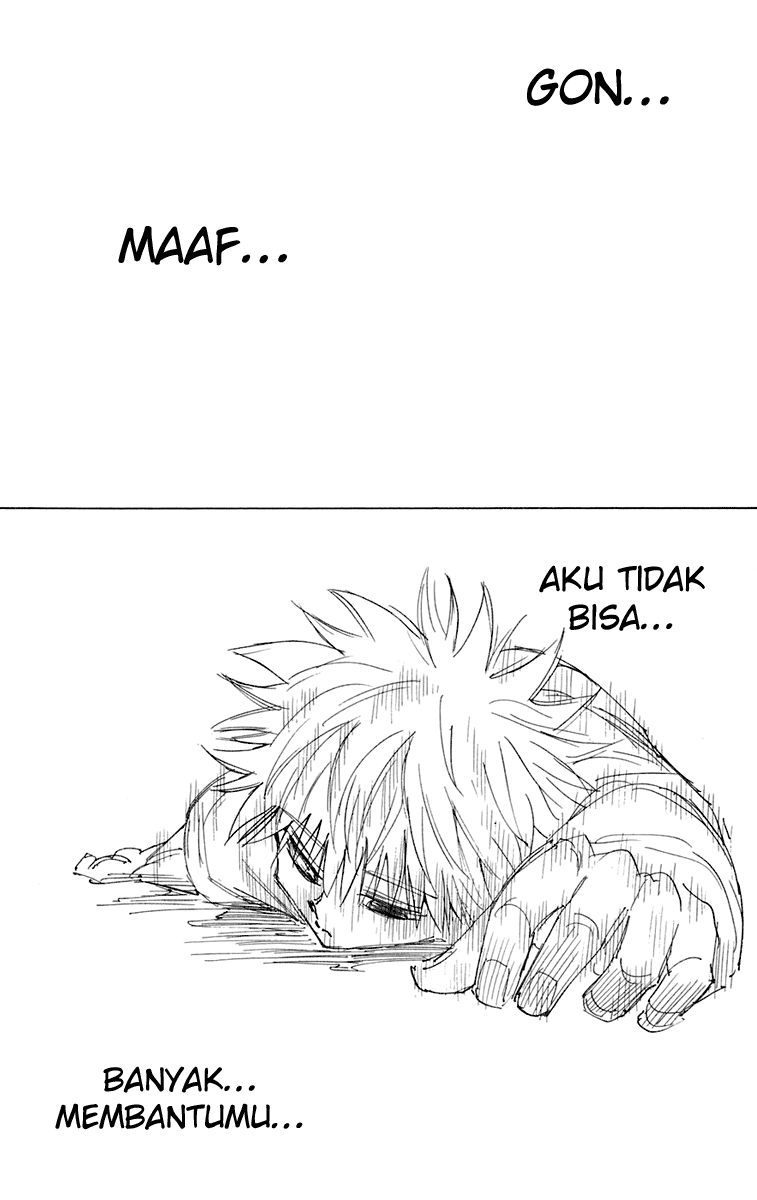 Hunter x Hunter Chapter 241 Image 4