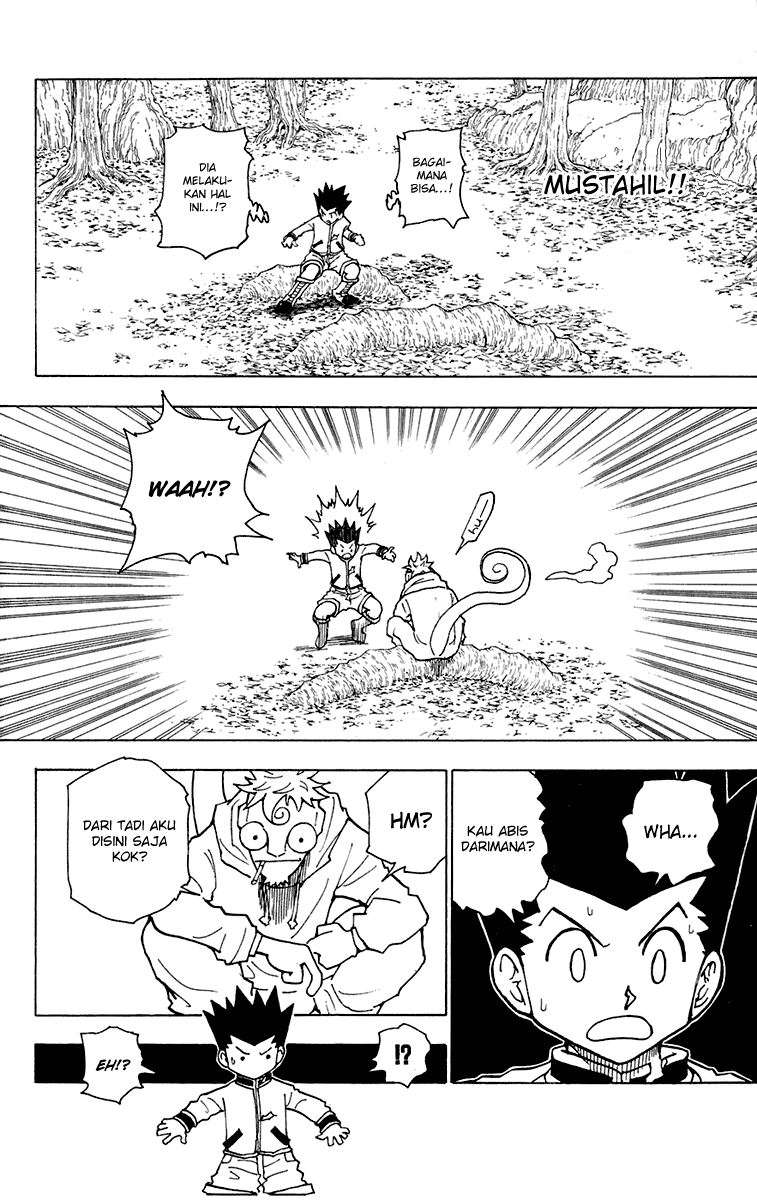 Hunter x Hunter Chapter 242 Image 5