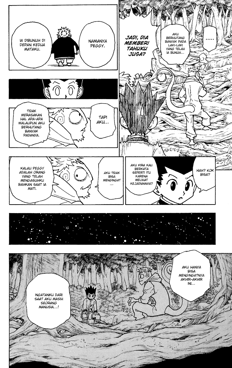 Hunter x Hunter Chapter 242 Image 11