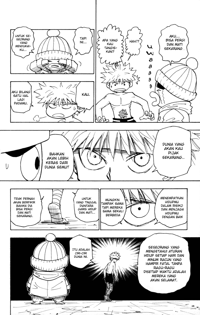 Hunter x Hunter Chapter 255 Image 9