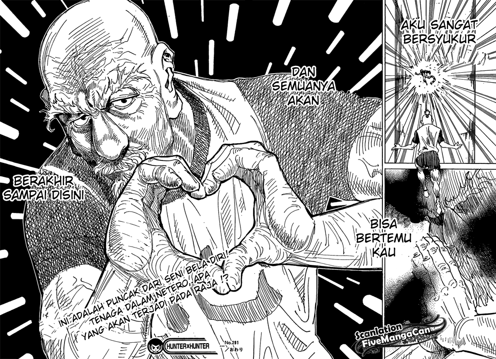 Hunter x Hunter Chapter 291 Image 16