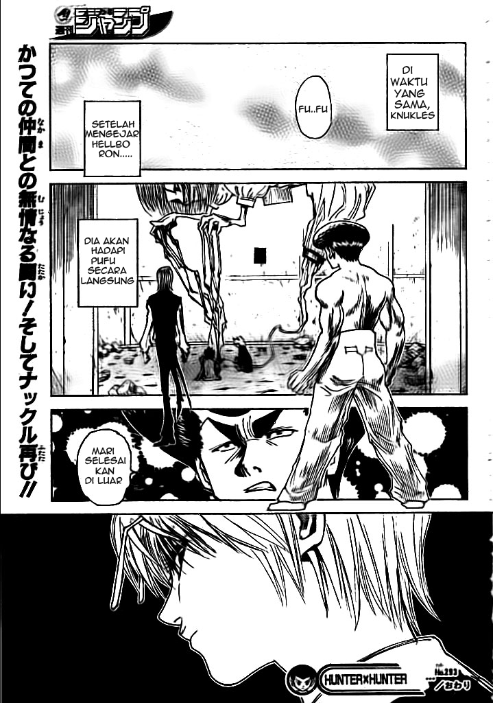 Hunter x Hunter Chapter 293 Image 19