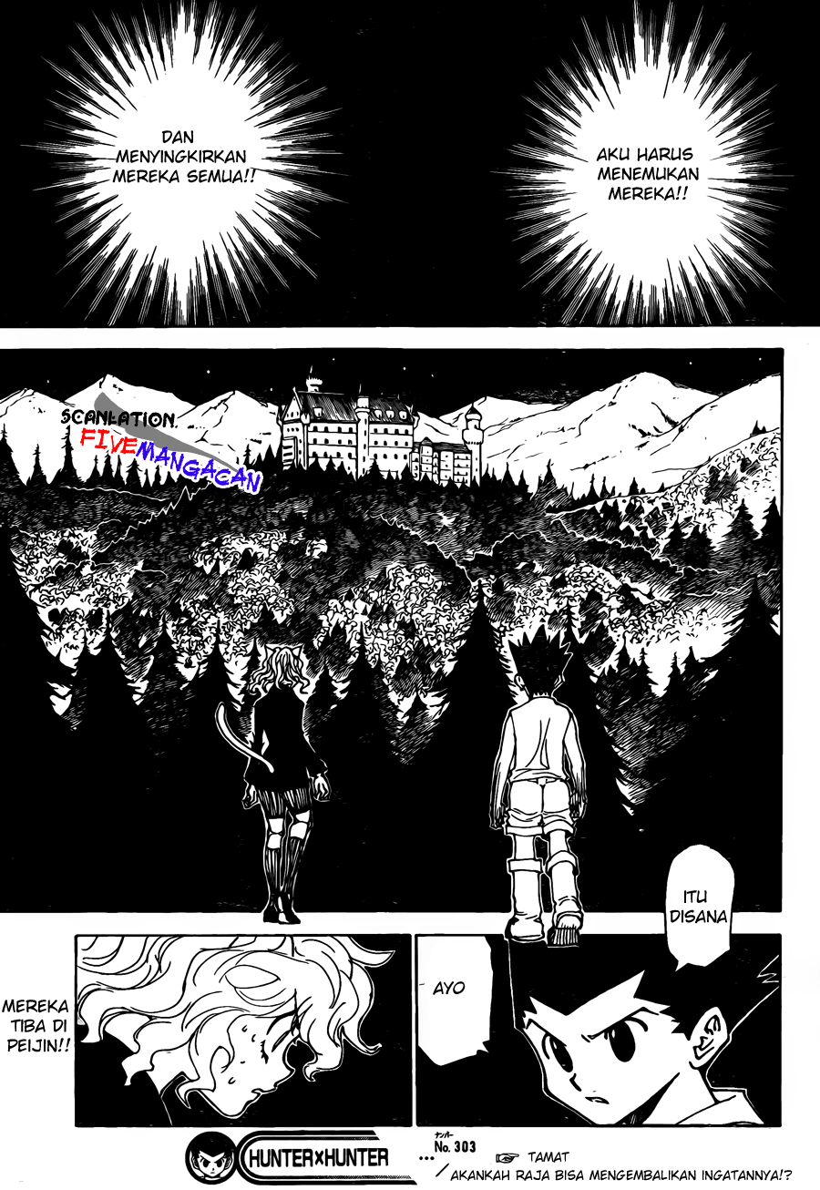 Hunter x Hunter Chapter 303 Image 10