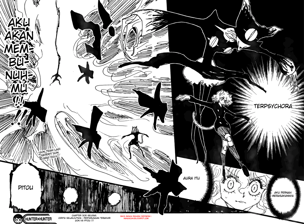 Hunter x Hunter Chapter 305 Image 8