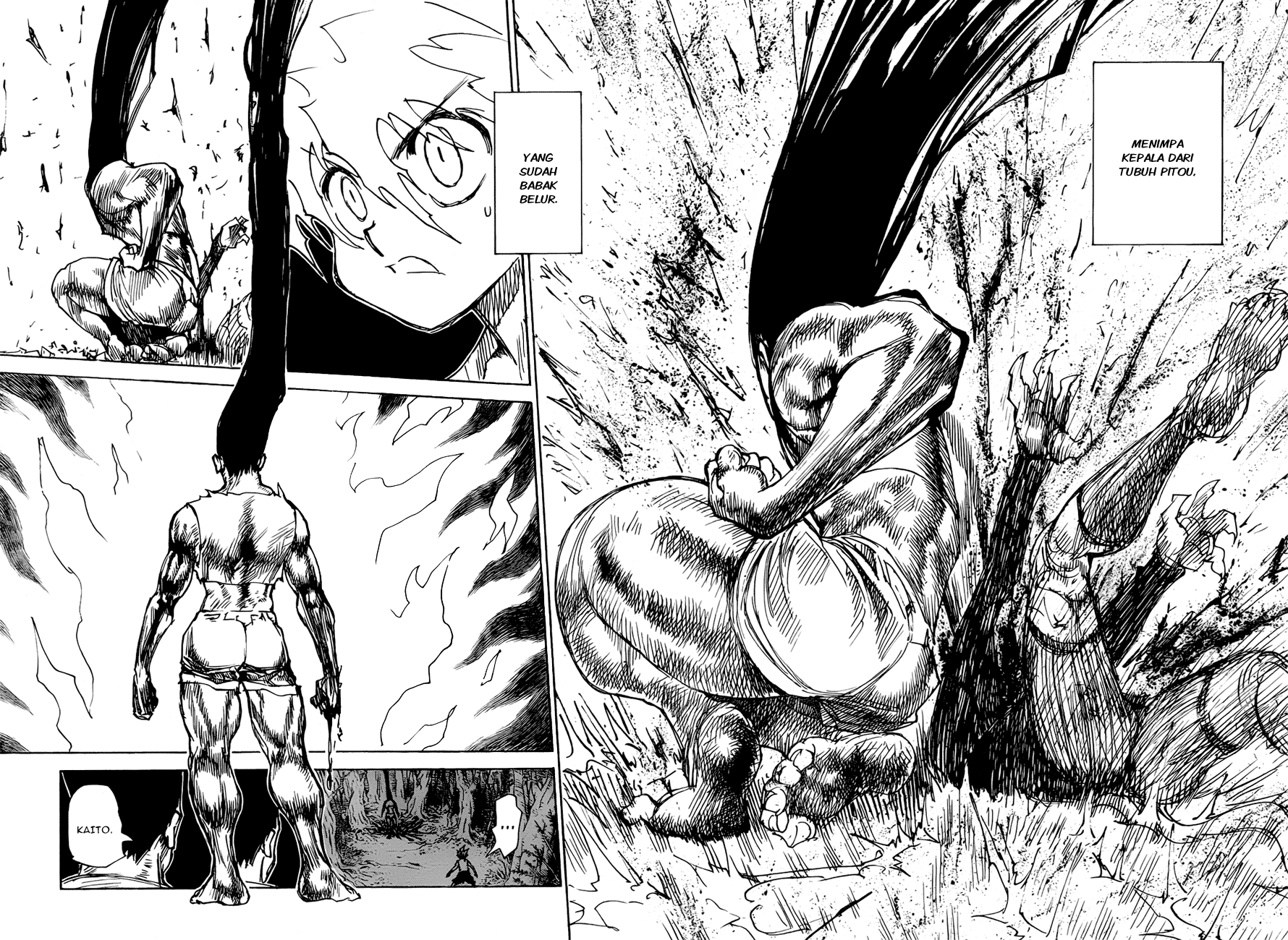 Hunter x Hunter Chapter 307 Image 3