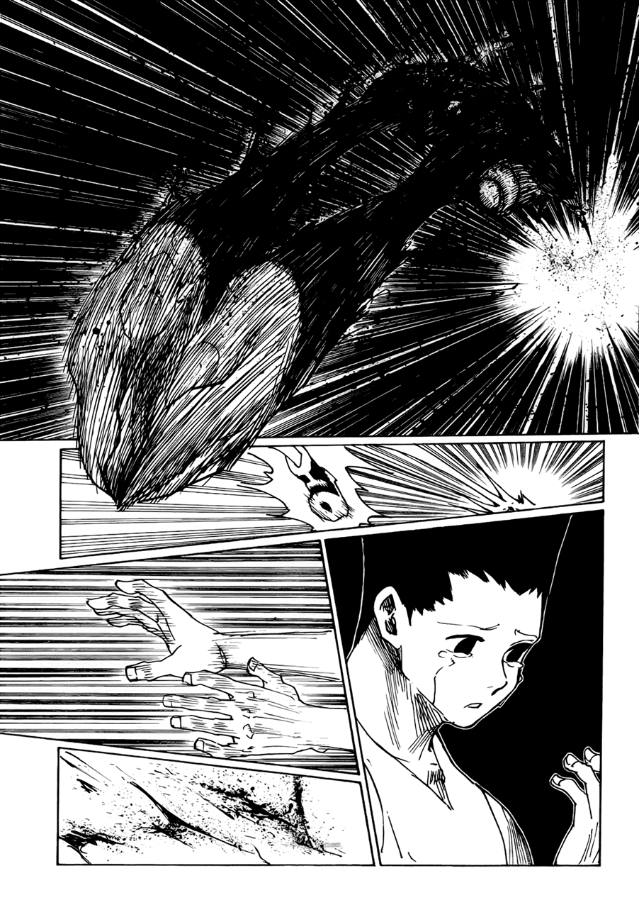 Hunter x Hunter Chapter 307 Image 7
