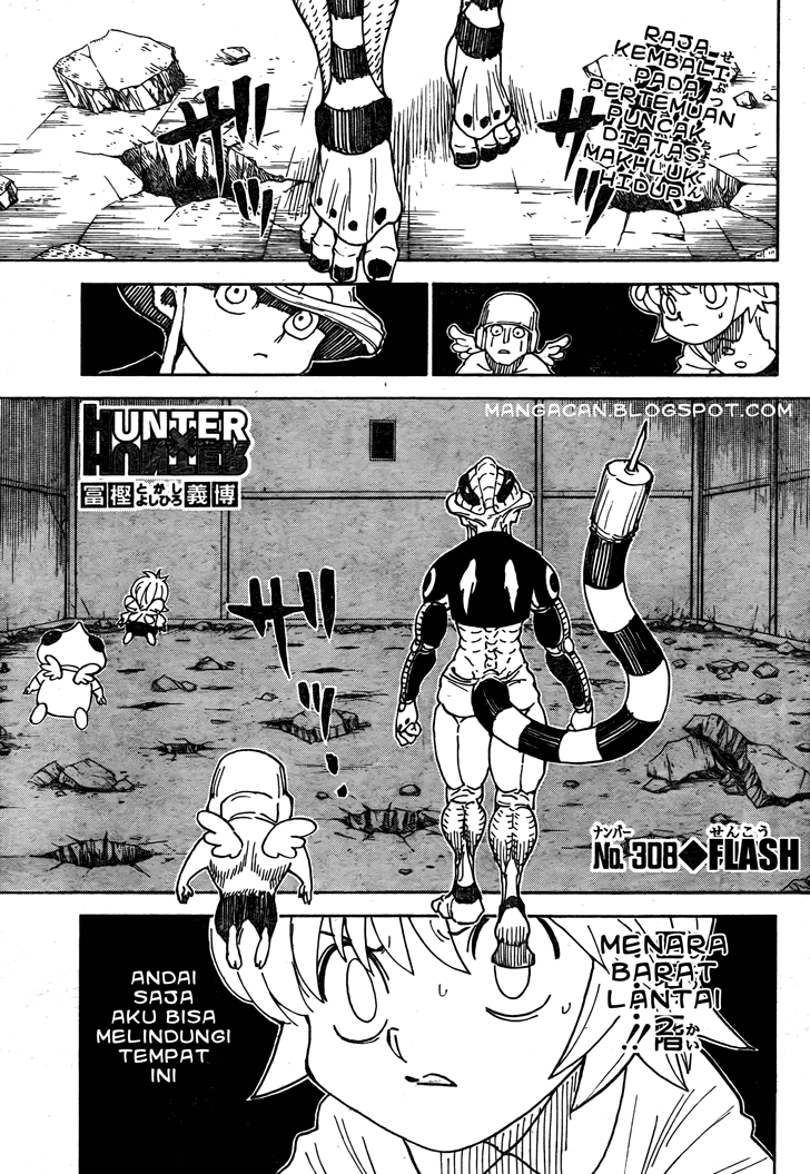 Hunter x Hunter Chapter 308 Image 1