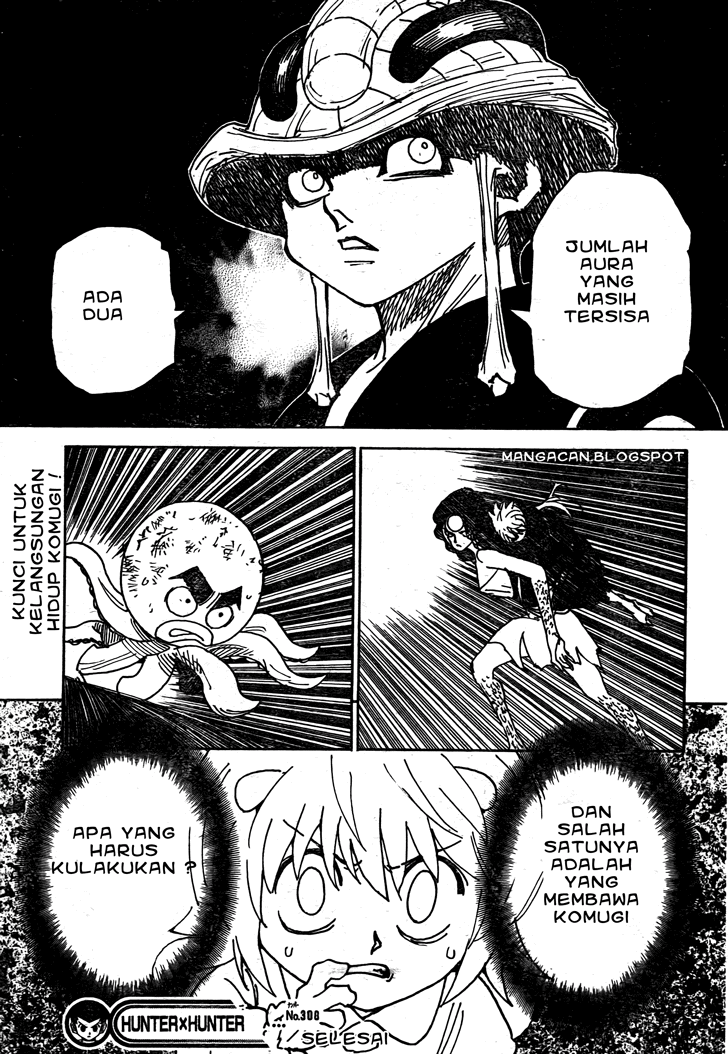 Hunter x Hunter Chapter 308 Image 9