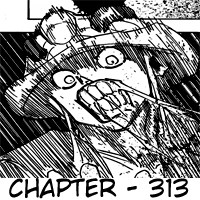 Hunter x Hunter Chapter 313 Image 15