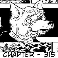 Hunter x Hunter Chapter 315 Image 19