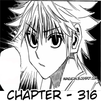 Hunter x Hunter Chapter 316 Image 20