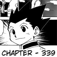 Hunter x Hunter Chapter 339 Image 17