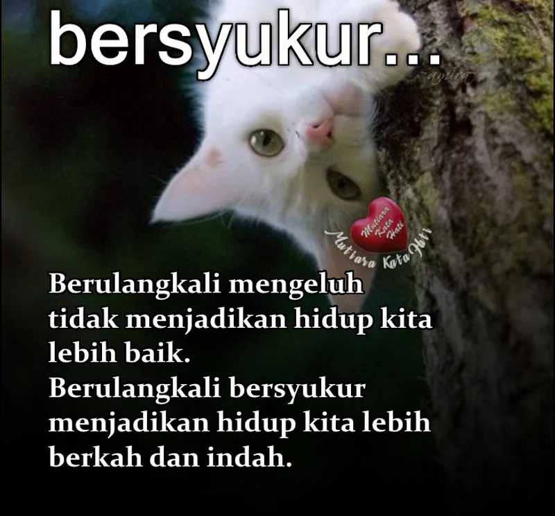 Global Gao Wu Chapter 159 Image 24