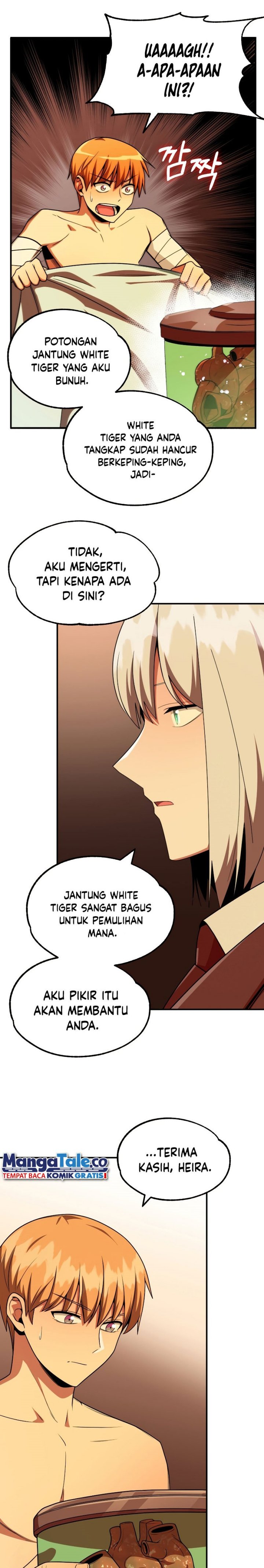 Youngest Scion of the Mages Chapter 47 S1 End Image 21
