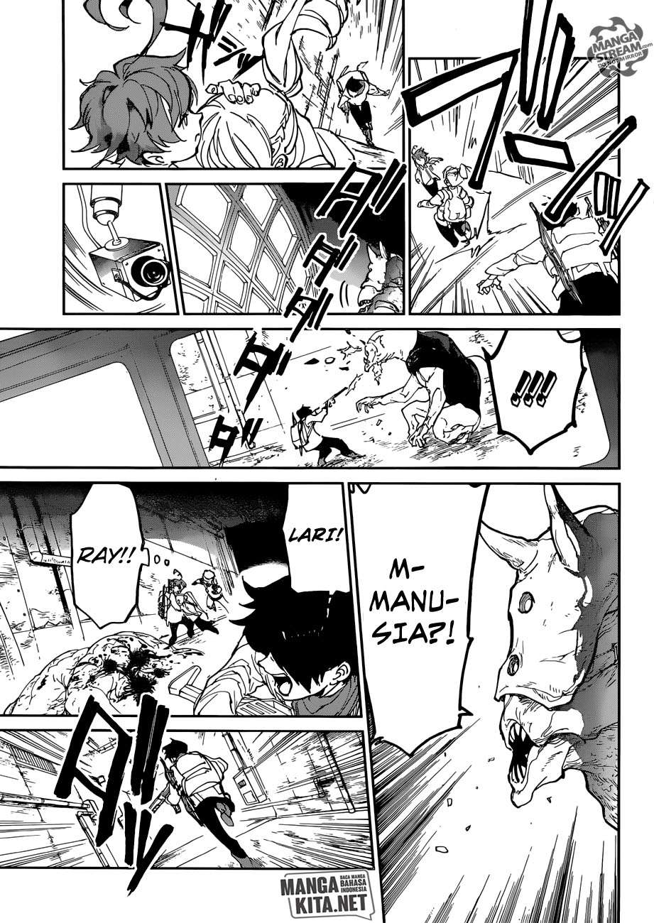 The Promised Neverland Chapter 116 Image 17